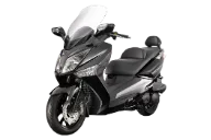סאן יאנג JOYMAX 250