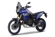 ימהה DM11